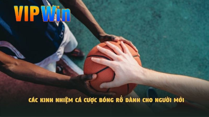 Các kinh nhiệm cá cược bóng rổ​ dành cho người mới