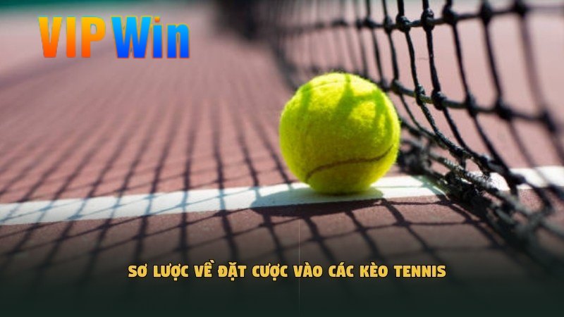 Sơ lược về đặt cược vào các kèo Tennis​