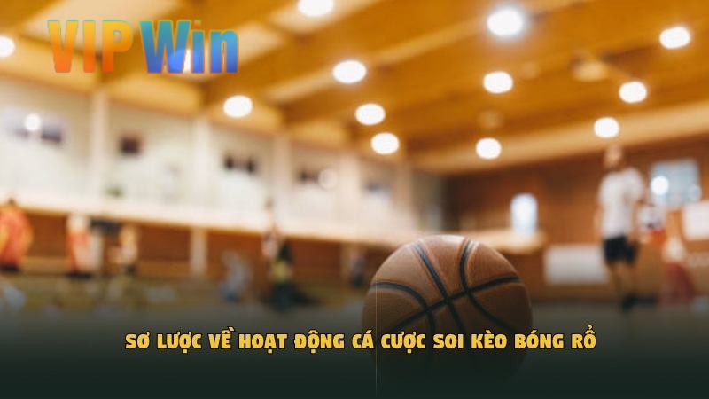 Sơ lược về hoạt động cá cược soi kèo bóng rổ​
