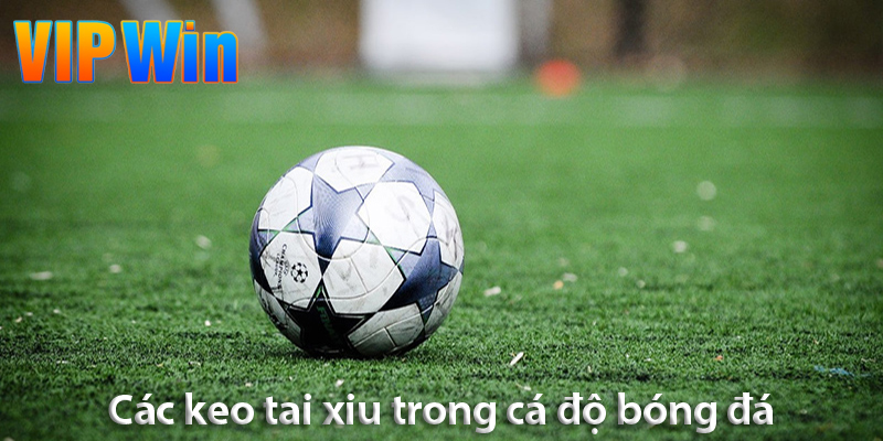 Kinh nghiệm chơi kèo tài xỉu: Chìa khóa dẫn dắt anh em tới thành công