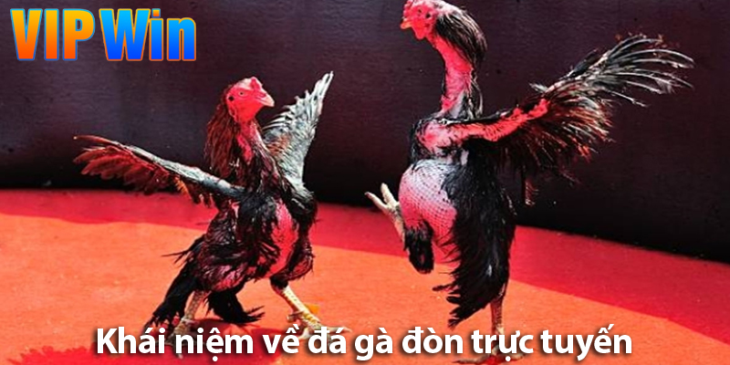 Cá độ đá gà đòn trực tuyến: Sân chơi giải trí hấp dẫn và kịch tính nhất 2025