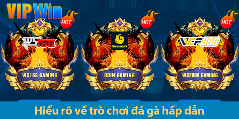 Đá gà trực tiếp - Hướng dẫn chi tiết dành cho người mới bắt đầu